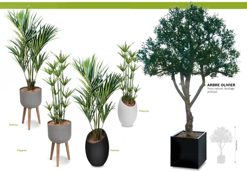 Accessoire de bureau design - bac floral - plante artificielle →  Aménagement - Agencement - Mahora Concept