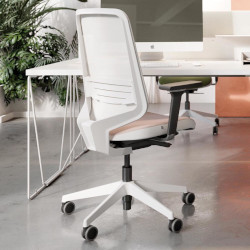 fauteuil de bureau ergonomique DOT PRO